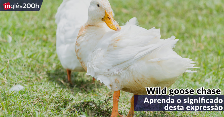 Wild goose chase