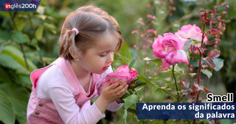 Aprenda os significados da palavra SMELL